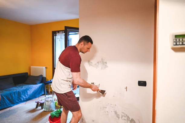Best Affordable Mold Removal  in Lynnwood Pricedale, PA